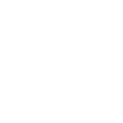 Database icon white